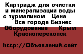 Картридж для очистки и минерализации воды с турмалином › Цена ­ 1 000 - Все города Бизнес » Оборудование   . Крым,Красноперекопск